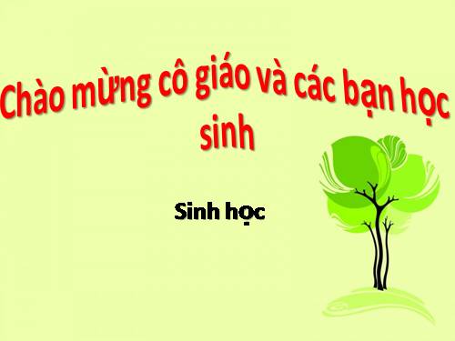 Bài 43. Cấu tạo trong của chim bồ câu