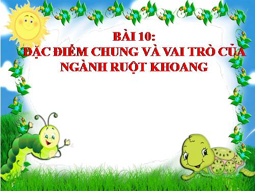 Bài 10. Đặc điểm chung và vai trò của ngành Ruột khoang