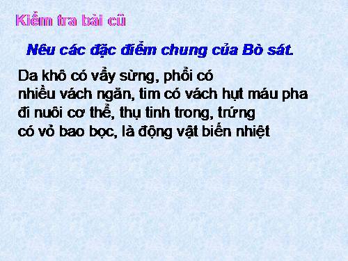 Bài 41. Chim bồ câu