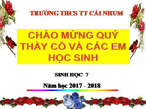 Bài 40. Đa dạng và đặc điểm chung của lớp Bò sát