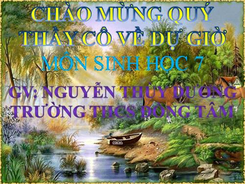 Bài 39. Cấu tạo trong của thằn lằn