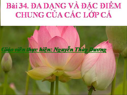 Bài 34. Đa dạng và đặc điểm chung của các lớp Cá