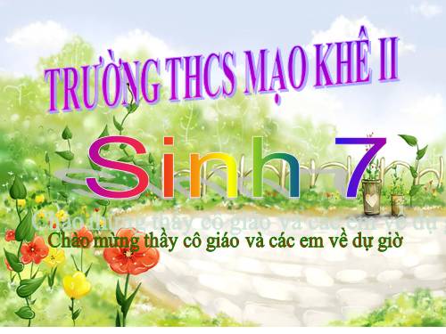 Bài 7. Đặc điểm chung và vai trò thực tiễn của Động vật nguyên sinh