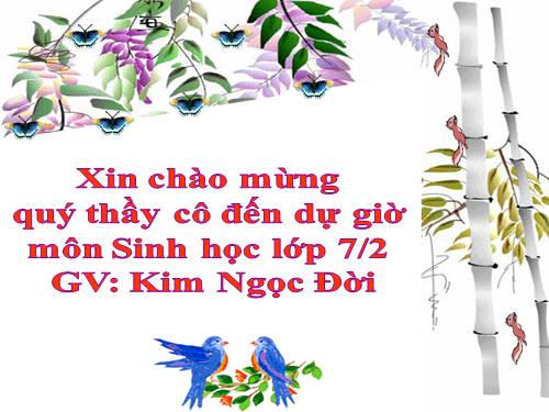 Bài 10. Đặc điểm chung và vai trò của ngành Ruột khoang