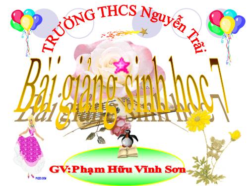 Bài 30. Ôn tập phần I - Động vật không xương sống