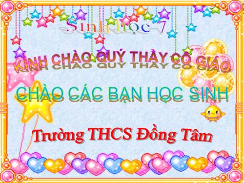 Bài 27. Đa dạng và đặc điểm chung của lớp Sâu bọ