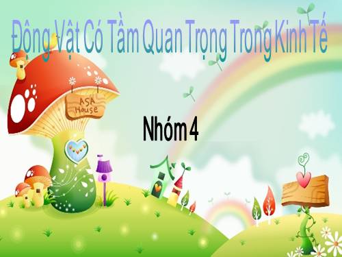 Bài 61. Tìm hiểu một số động vật có tầm quan trọng trong kinh tế ở địa phương