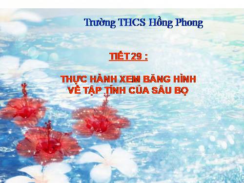 Bài 28. Thực hành: Xem băng hình về tập tính của sâu bọ