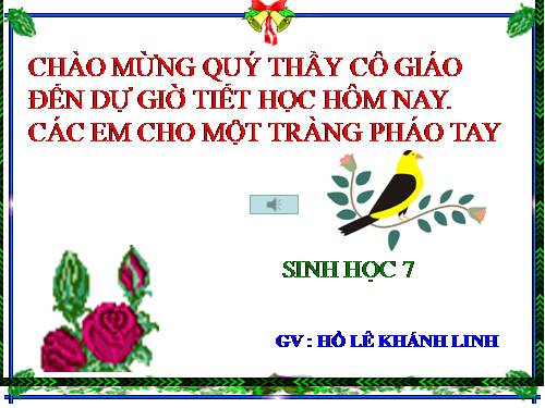 Bài 10. Đặc điểm chung và vai trò của ngành Ruột khoang