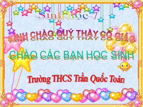 Bài 27. Đa dạng và đặc điểm chung của lớp Sâu bọ