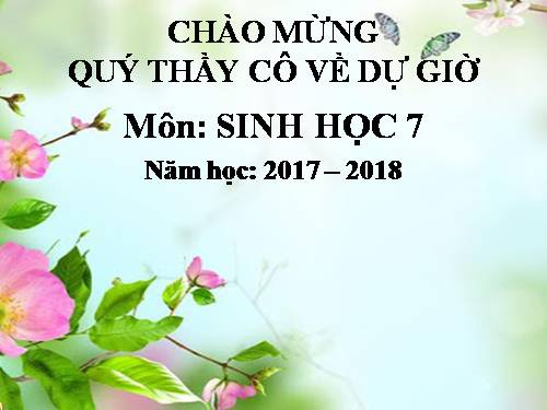 Bài 12. Một số giun dẹp khác và đặc điểm chung của ngành Giun dẹp