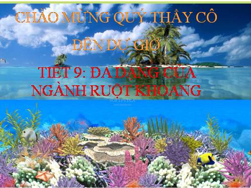 Bài 9. Đa dạng của ngành Ruột khoang