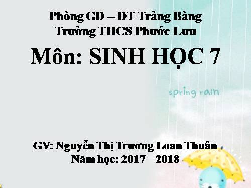 Bài 28. Thực hành: Xem băng hình về tập tính của sâu bọ