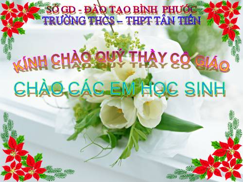 Bài 24. Đa dạng và vai trò của lớp Giáp xác