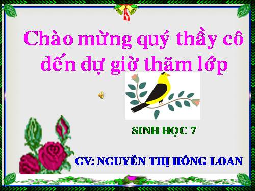 Bài 25. Nhện và sự đa dạng của lớp Hình nhện