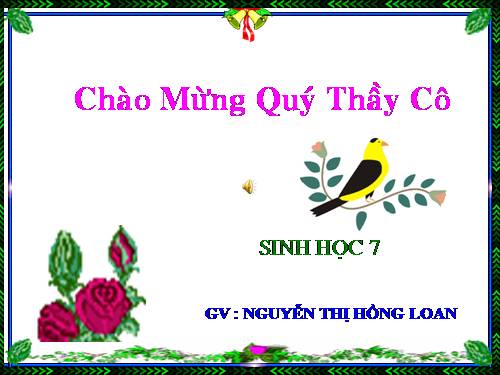 Bài 10. Đặc điểm chung và vai trò của ngành Ruột khoang