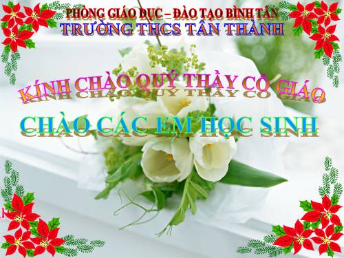 Bài 26. Châu chấu