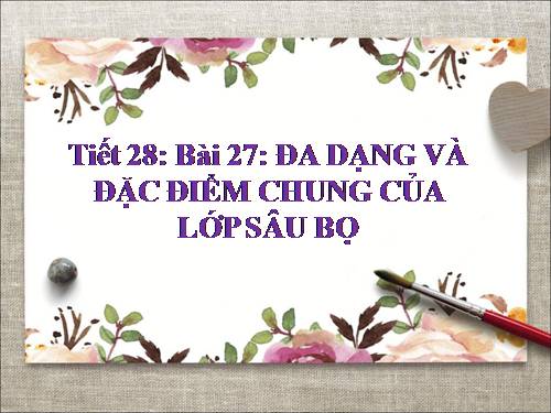 Bài 27. Đa dạng và đặc điểm chung của lớp Sâu bọ