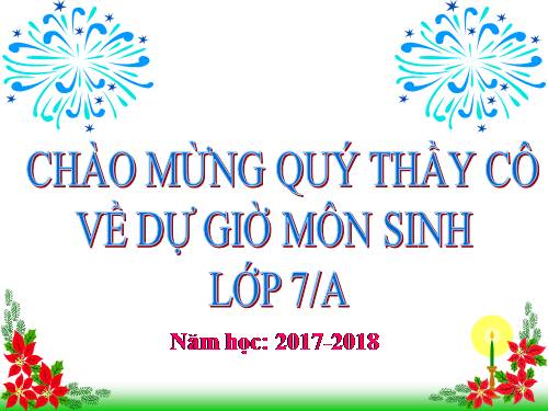 Bài 21. Đặc điểm chung và vai trò của ngành Thân mềm