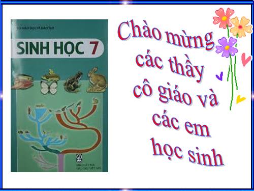 Bài 22. Tôm sông