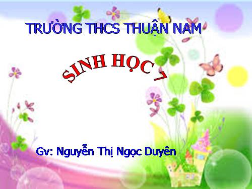 Bài 19. Một số thân mềm khác