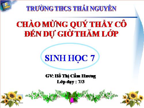 Bài 43. Cấu tạo trong của chim bồ câu