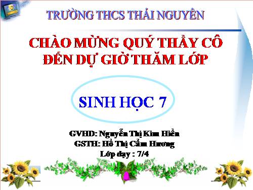 Bài 44. Đa dạng và đặc điểm chung của lớp Chim