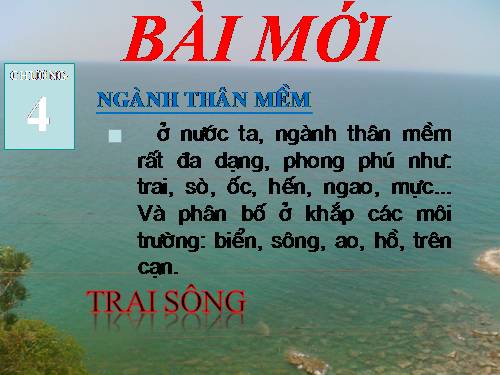 Bài 18. Trai sông