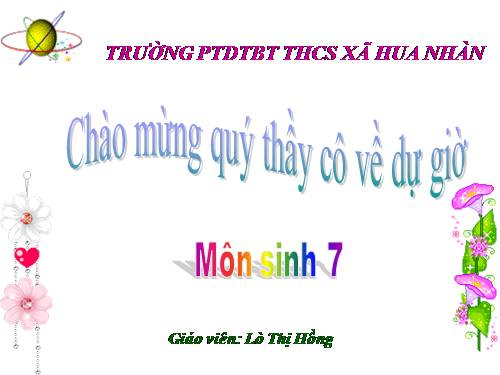 Bài 46. Thỏ