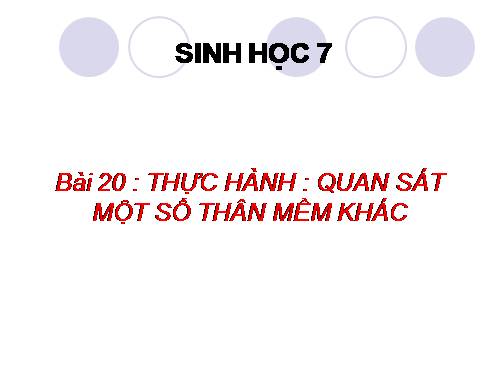 Bài 20. Thực hành: Quan sát một số thân mềm