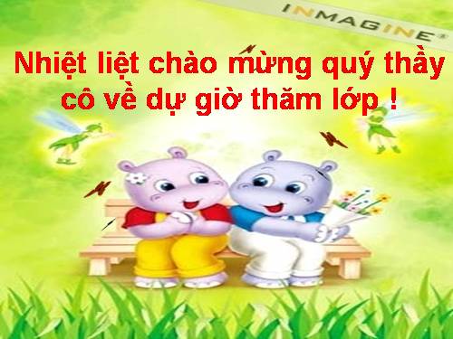 Bài 10. Đặc điểm chung và vai trò của ngành Ruột khoang