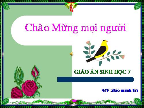 Bài 10. Đặc điểm chung và vai trò của ngành Ruột khoang