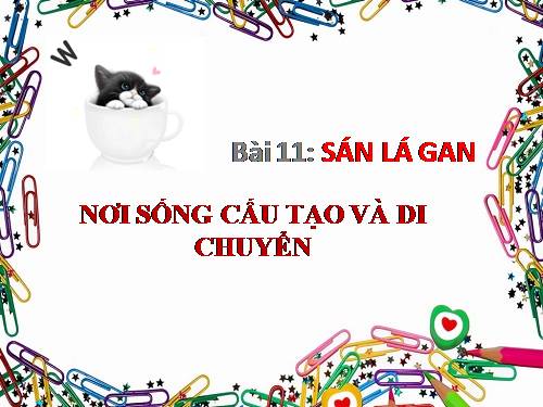 Bài 11. Sán lá gan