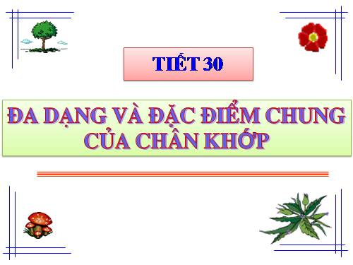 Bài 29. Đặc điểm chung và vai trò của ngành Chân khớp