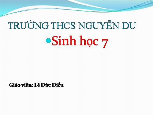 Bài 24. Đa dạng và vai trò của lớp Giáp xác