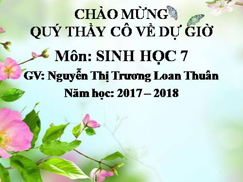 Bài 12. Một số giun dẹp khác và đặc điểm chung của ngành Giun dẹp