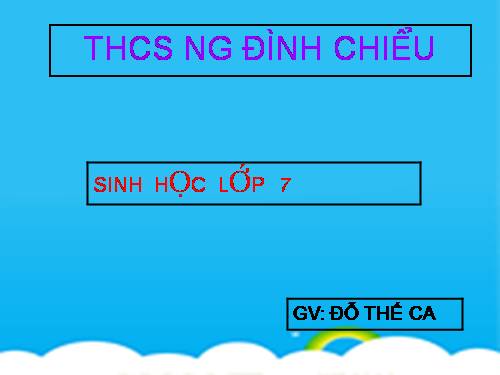 Bài 7. Đặc điểm chung và vai trò thực tiễn của Động vật nguyên sinh