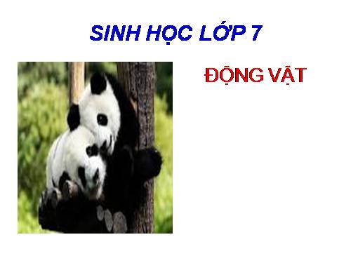 Bài 6. Trùng kiết lị và trùng sốt rét