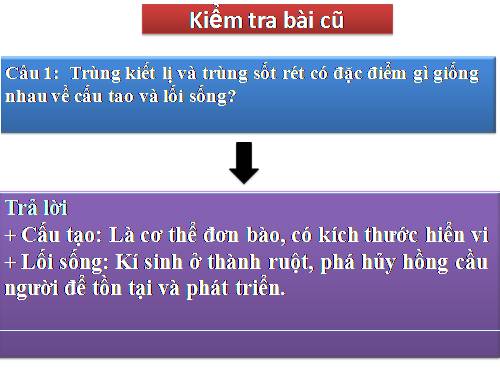 Bài 7. Đặc điểm chung và vai trò thực tiễn của Động vật nguyên sinh