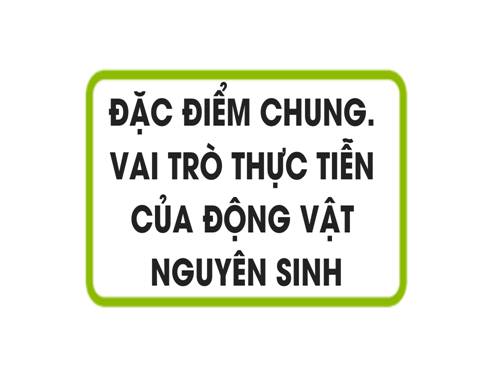 Bài 7. Đặc điểm chung và vai trò thực tiễn của Động vật nguyên sinh