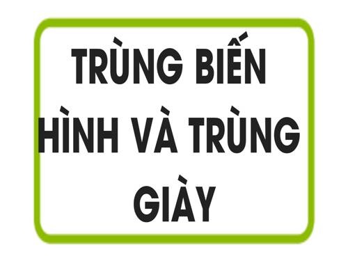 Bài 5. Trùng biến hình và trùng giày