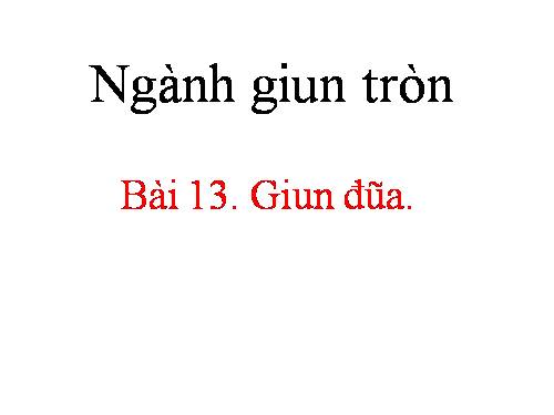 Bài 13. Giun đũa