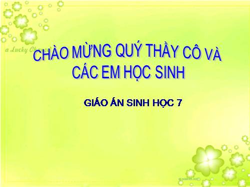 Bài 10. Đặc điểm chung và vai trò của ngành Ruột khoang