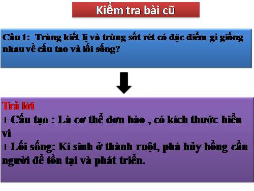 Bài 7. Đặc điểm chung và vai trò thực tiễn của Động vật nguyên sinh