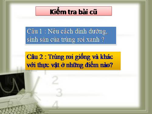 Bài 5. Trùng biến hình và trùng giày