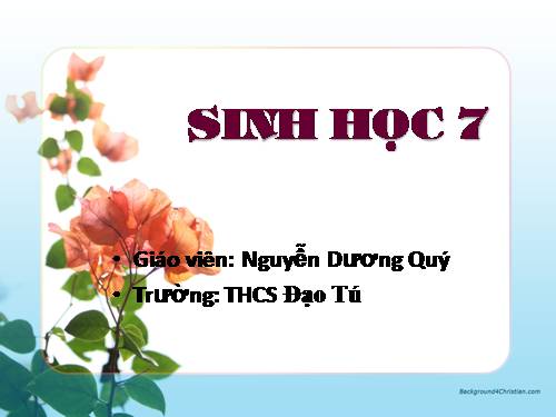 Bài 10. Đặc điểm chung và vai trò của ngành Ruột khoang