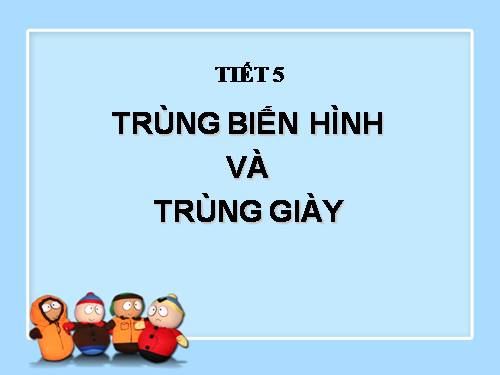 Bài 5. Trùng biến hình và trùng giày