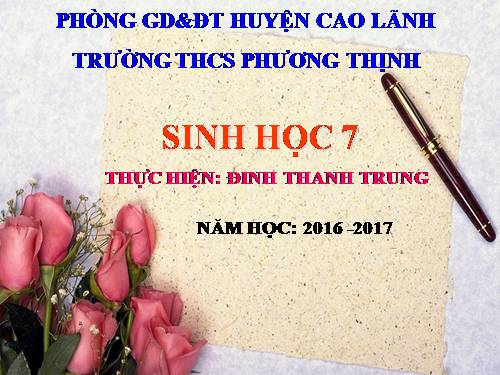 Bài 51. Đa dạng của lớp Thú: Các bộ Móng guốc và bộ Linh trưởng