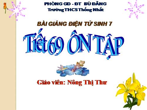 Bài 63. Ôn tập