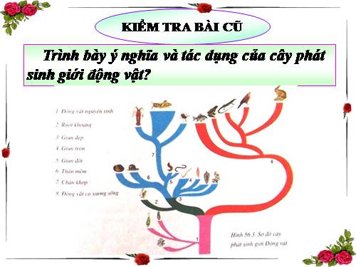 Bài 57. Đa dạng sinh học